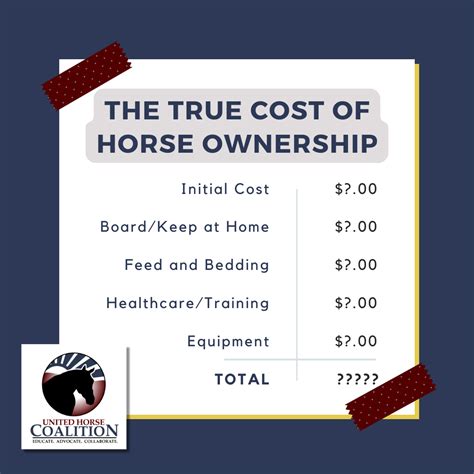 Cost Of Owning A Horse In Canada at Vernon Virgil blog