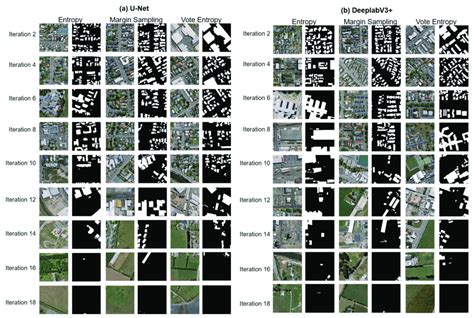 Label the Image Image Net 的图像结果