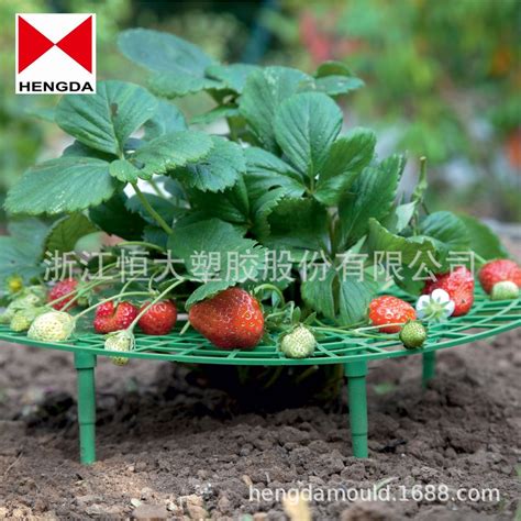厂家直销园林草莓种植架 阳台种菜架 果实支撑 园艺爬藤架-阿里巴巴