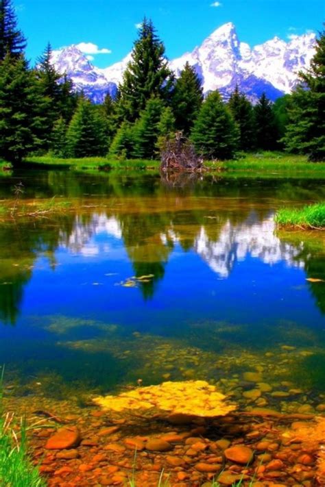 Заставки на телефон природа самые красивые вертикальные - фото и ...