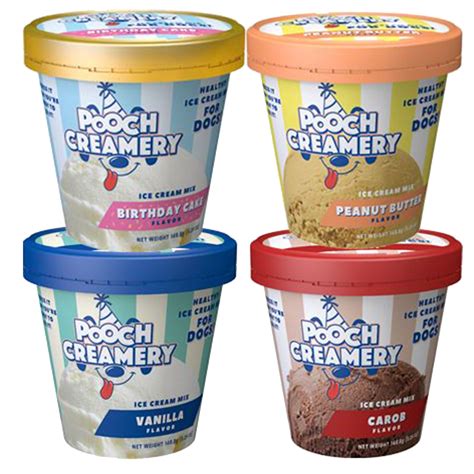 Ice cream for dogs petsmart online