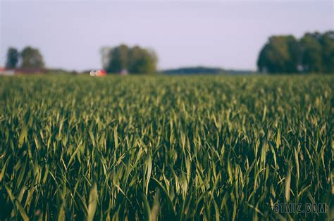 绿色农业广阔规划整齐的绿色农田种植农业现代背景图片免费下载 - 觅知网