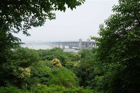 2022龟山风景区门票,武汉龟山风景区游玩攻略,龟山风景区游览攻略路线/地址/门票价格-【去哪儿攻略】