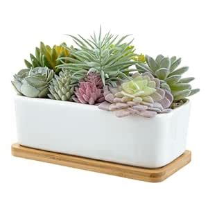 Buy MyGift Potted Artificial Succulents in Ceramic Pot with Bamboo Tray ...
