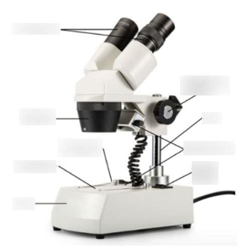Dissecting microscope Diagram | Quizlet
