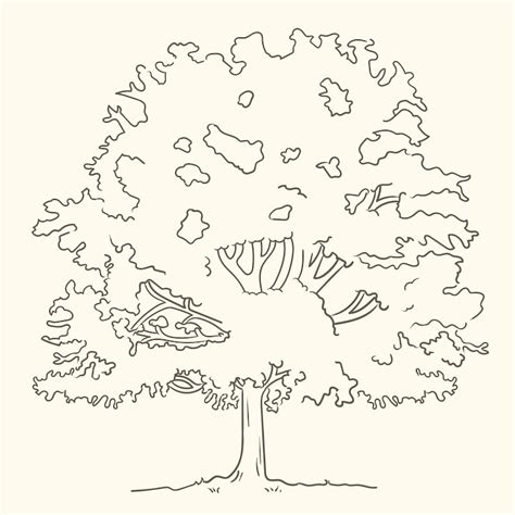 Tree line drawing Images - Free Download on Freepik