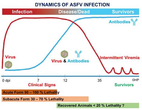 Image result for ASF Testing