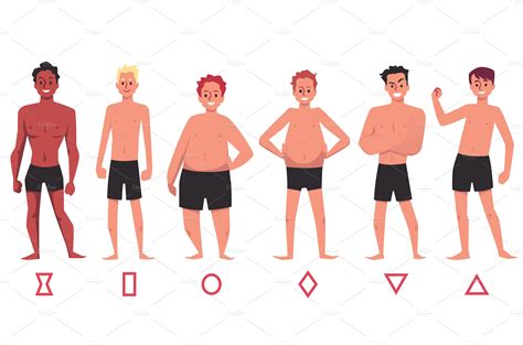 Human body and male figures types | Healthcare Illustrations ~ Creative ...