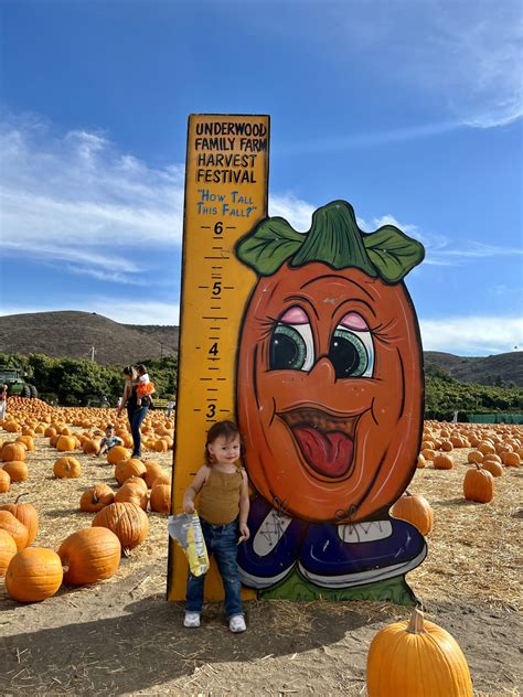 The Best Pumpkin Patches in Southern California: A Family Tradition ...