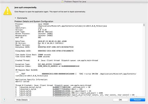 Minecraft Java Runtime Crash 的图像结果
