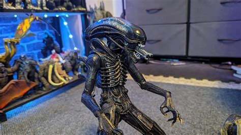 Image result for Alien Battle Macfaren