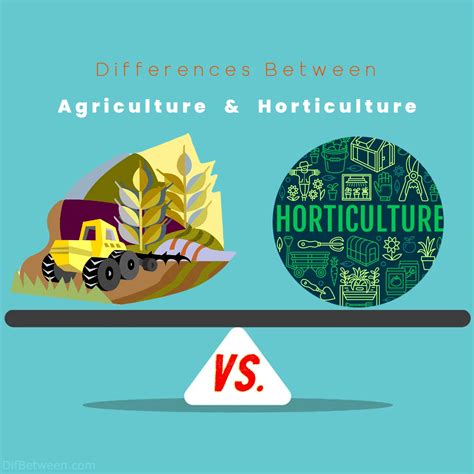 Agriculture vs Horticulture: Key Differences