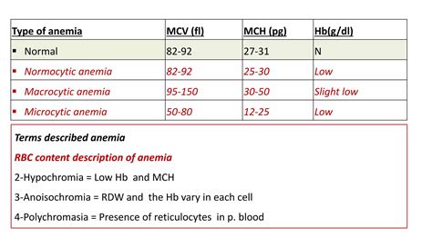 Anemia Classification and Investigation Tests.pdf