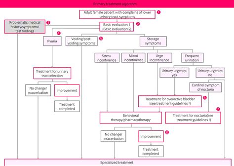 Clinical Guidelines for Female Lower Urinary Tract Symptoms (second edition) - Takahashi - 2021 ... - treatment for urinary retention in females