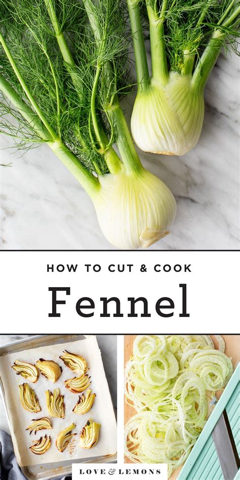 What is Fennel? (And How to Cook It) - Love and Lemons | Recipe ...