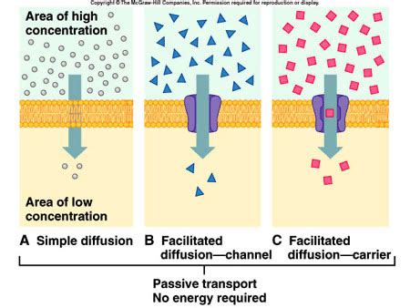 Diffusion 的图像结果