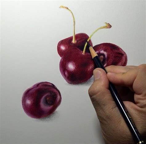 Image result for Polychromos Art Tutorials