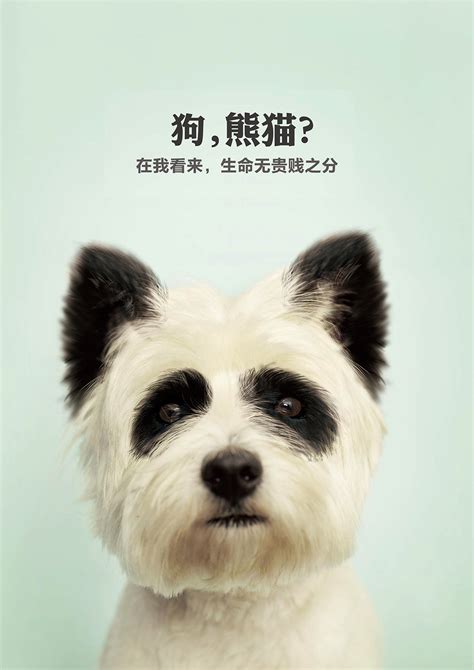 2014时报金犊奖国际动物基金IFAW公益广告设计－优秀奖|平面|海报|junbaoer122 - 原创作品 - 站酷 (ZCOOL)
