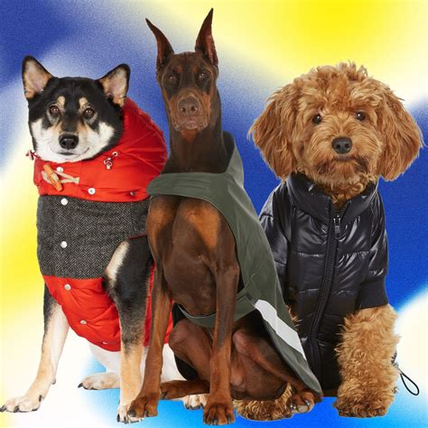 Dog In A Jacket Hotsell | bellvalefarms.com