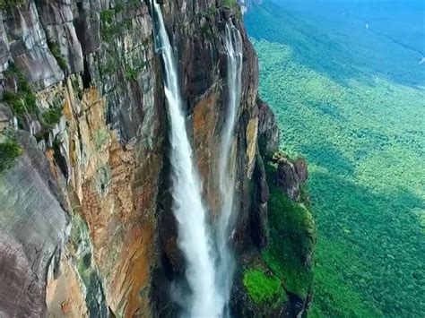 Auyantepui | ppgbbe.intranet.biologia.ufrj.br