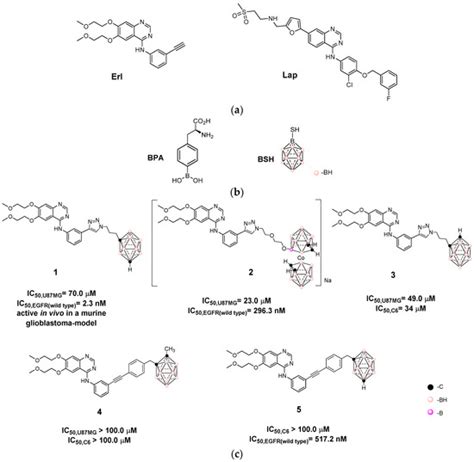 Cells | Special Issue : Biology of Boron Neutron Capture Therapy (BNCT)