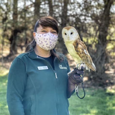 Chintimini Wildlife Center - Chintimini Wildlife Center