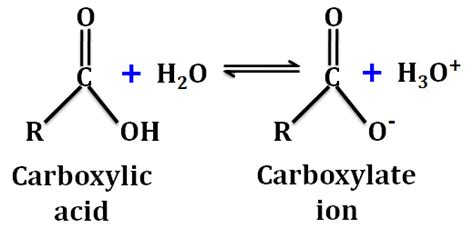 Theory and Procedure, Tests for the Functional Groups - Additional ...