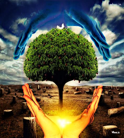 The Beautiful Art Image For The World Environment Day