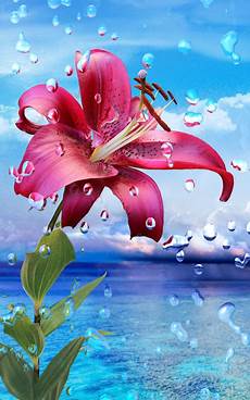 hd 1080p wallpapers for mobile free hd wallpaper for mobile 2016 free paperblog hd 1080p wallpapers for mobile free hd wallpaper for mobile 2016 free paperblog