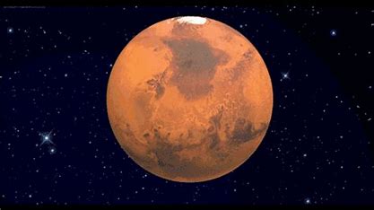 seo到9火星 的图像结果
