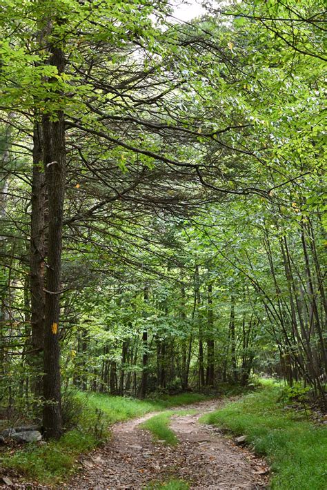 About Us | Horse-Shoe Trail Conservancy