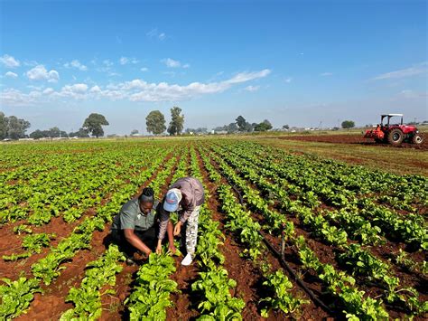 African Farming Methods 的图像结果