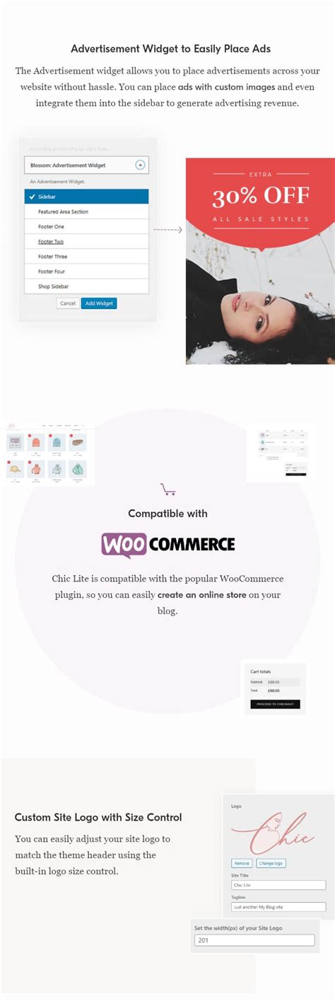 Chic Lite WordPress Theme 的图像结果