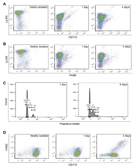 Neutrophils Modulate Fibroblast Function and Promote Healing and Scar ...