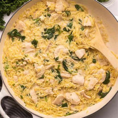 10 Best Orzo Recipes - The Recipe Rebel
