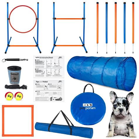 Dog Agility Training Equipment