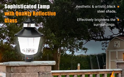 BENE Garden Light Reed (Black 21Cm 2Pc) : Amazon.in: Home & Kitchen
