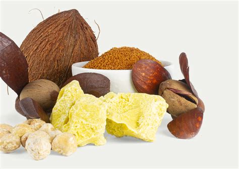 Manteca de karité para la piel: beneficios, usos y advertencias (2026)