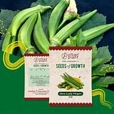 Okra Seeds (Lady Finger)