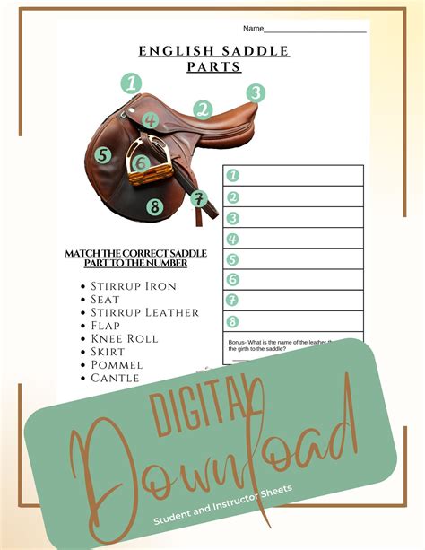 Printable Horse Camp/lessons English Saddle Parts, Worksheet, Digital ...