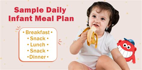 The Complete Infant Meal Plan Guide: Nutritional Tips & Recipes
