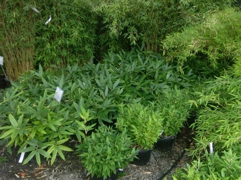 Rock Mountain Products