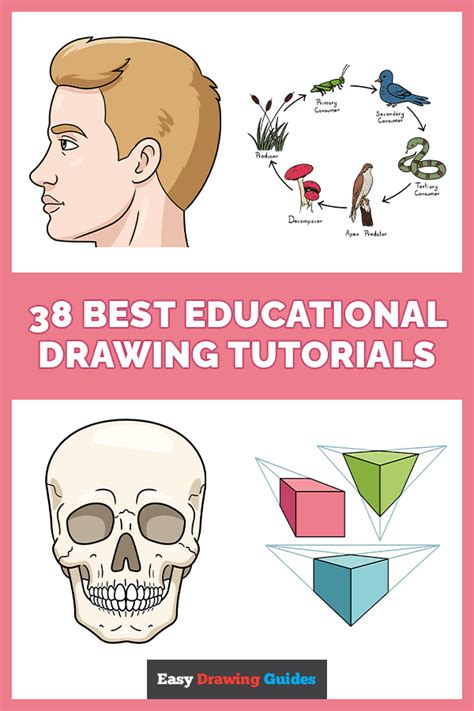 Image result for Easy Free Drawing Tutorials