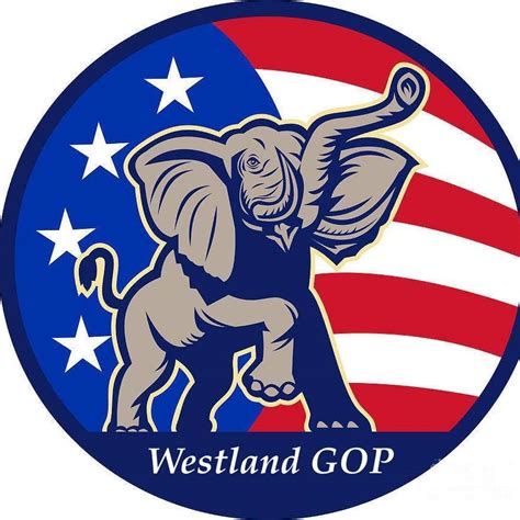 GOP 的图像结果