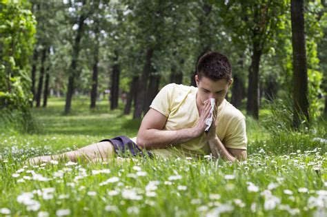 The secret to an easier allergy season - Harvard Health