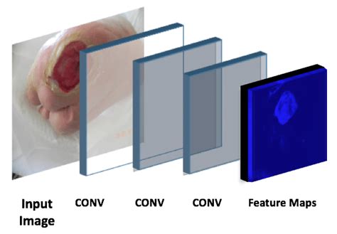 Feature Map 的图像结果