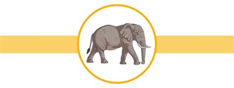 Elephant Facts for Kids - Twinkl Homework Help - Twinkl