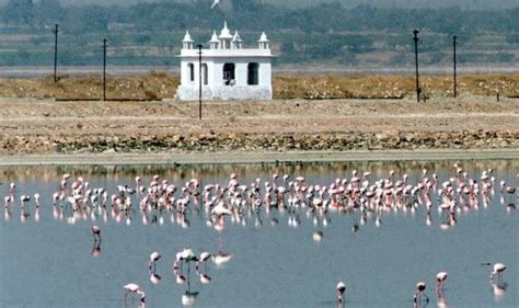 Jaipur Travel Guide : Places To Visit And Things To Do - HelloVisit