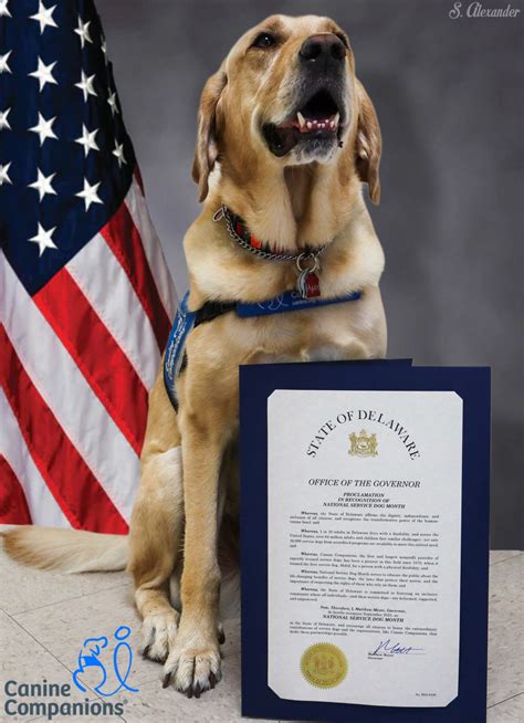 Voting Information for the State Representative District 20 Special ...