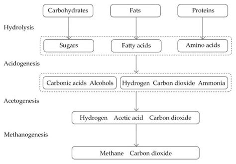Research on Prediction Model for Durability of Straw Bale Walls in Warm ...